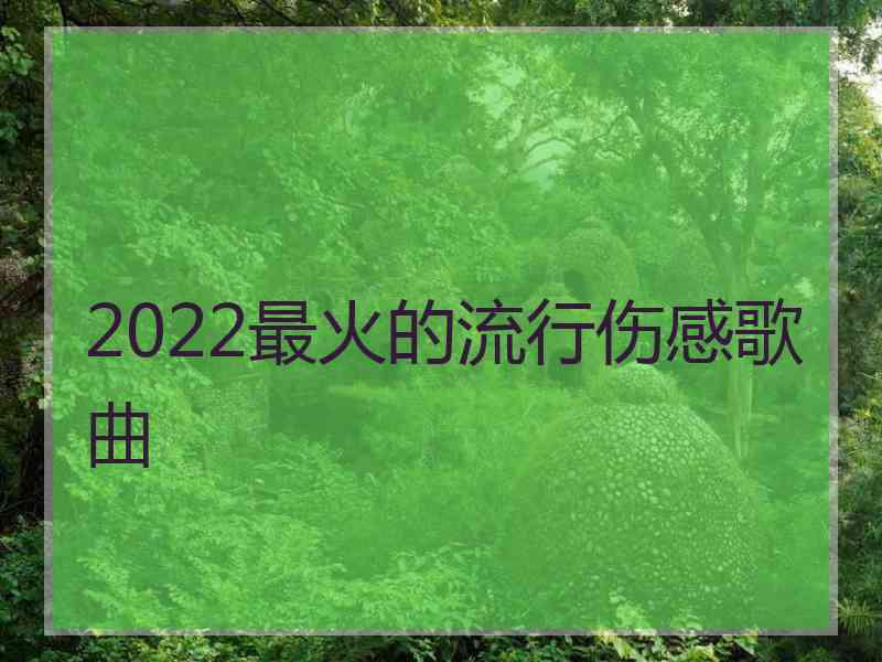 2022最火的流行伤感歌曲