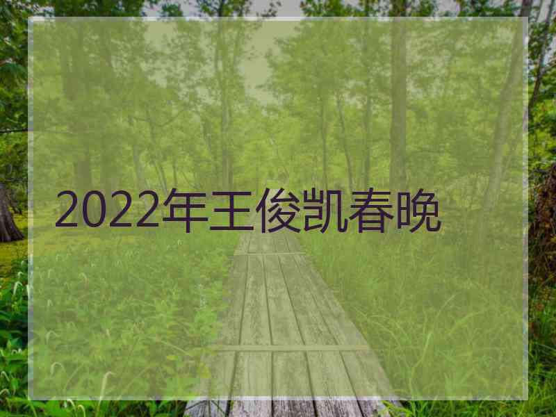 2022年王俊凯春晚