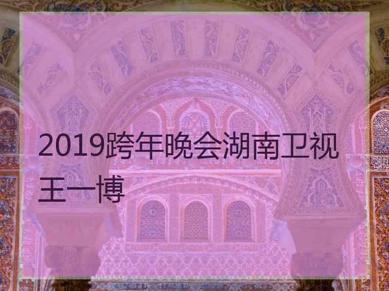 2019跨年晚会湖南卫视王一博