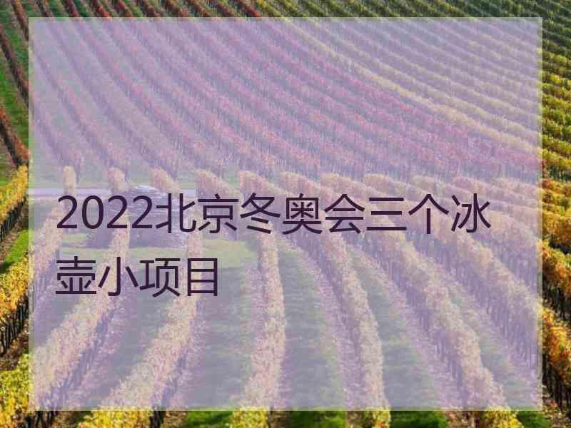 2022北京冬奥会三个冰壶小项目