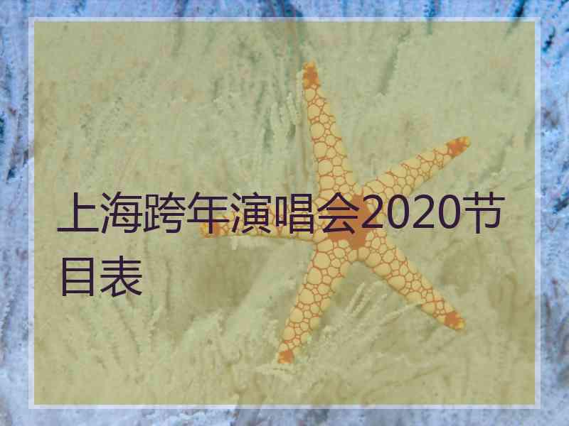 上海跨年演唱会2020节目表