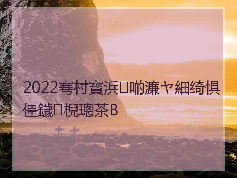 2022骞村寳浜啲濂ヤ細绮惧僵鐬棿璁茶В