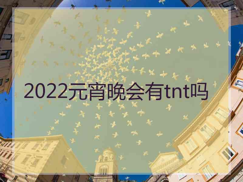 2022元宵晚会有tnt吗