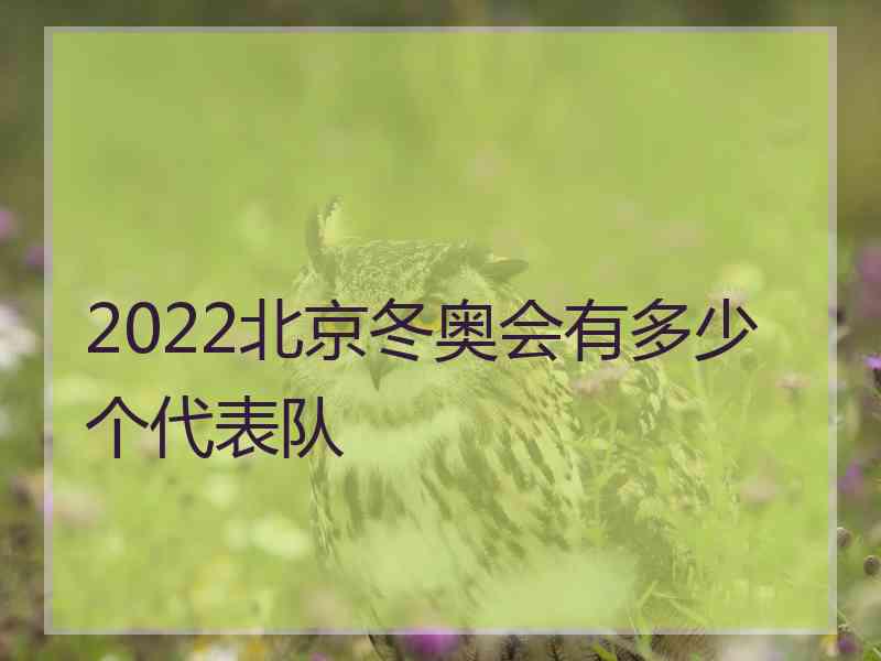 2022北京冬奥会有多少个代表队