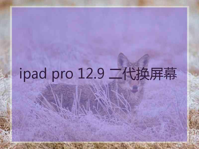 ipad pro 12.9 二代换屏幕