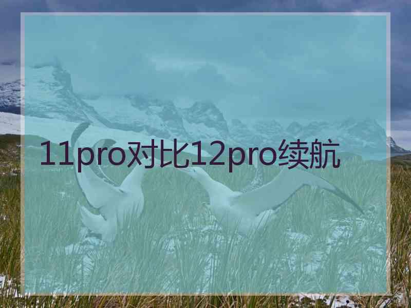 11pro对比12pro续航