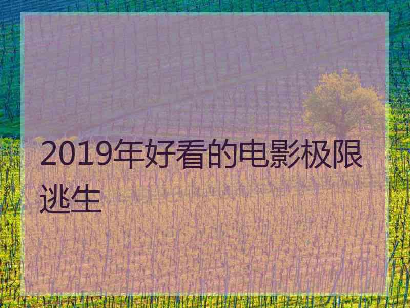 2019年好看的电影极限逃生