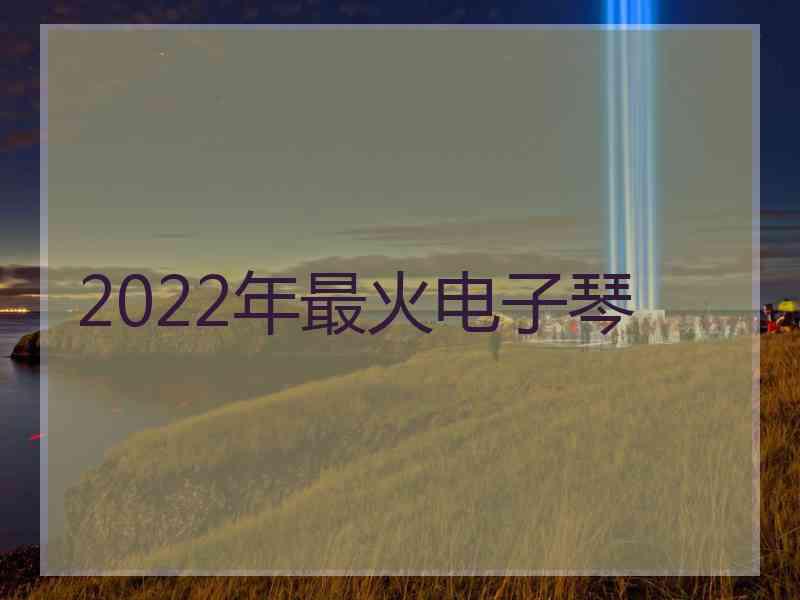 2022年最火电子琴