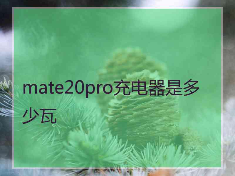 mate20pro充电器是多少瓦