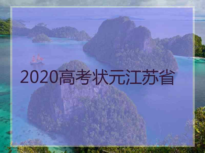 2020高考状元江苏省