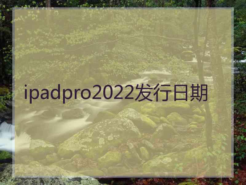 ipadpro2022发行日期