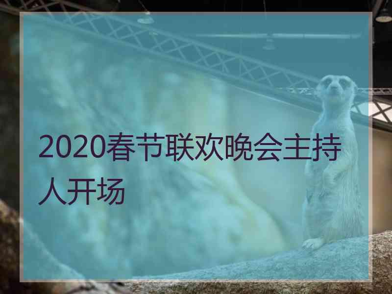 2020春节联欢晚会主持人开场