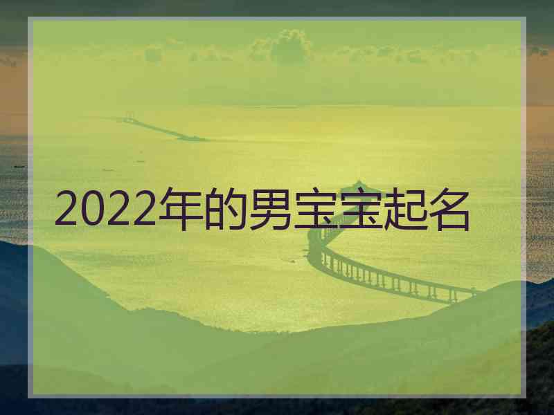 2022年的男宝宝起名