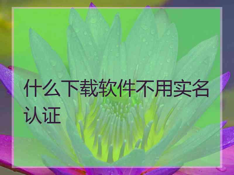 什么下载软件不用实名认证