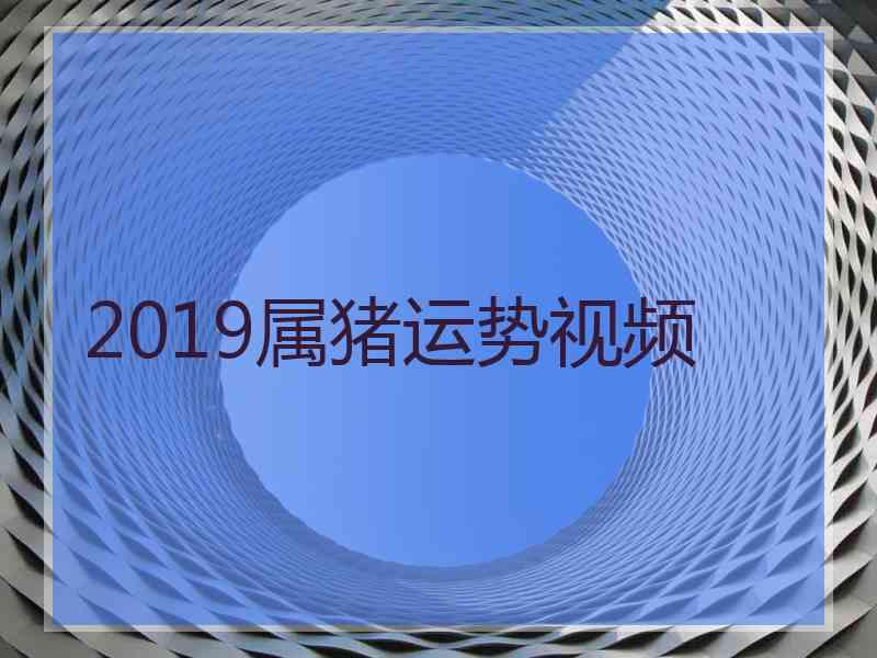 2019属猪运势视频