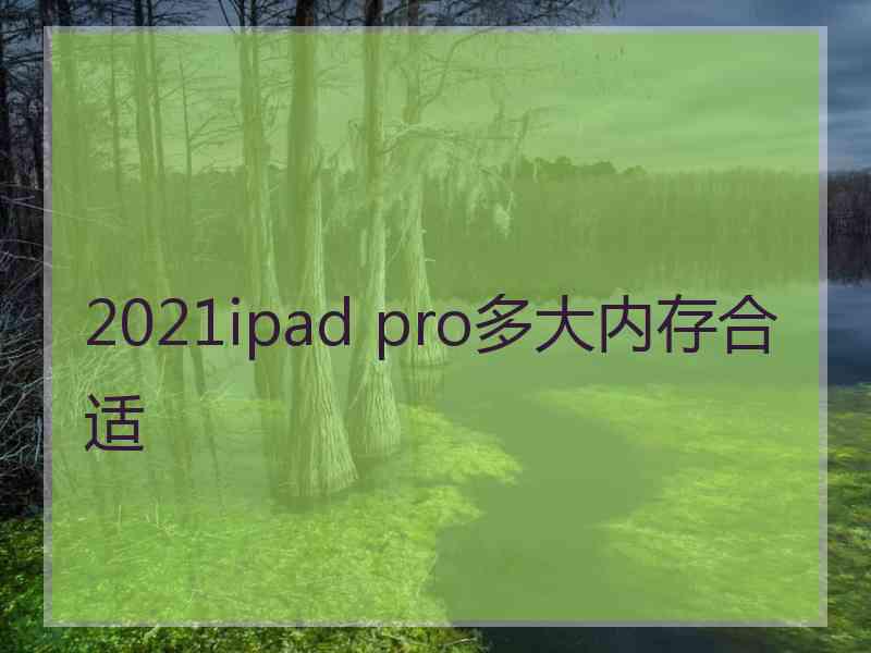 2021ipad pro多大内存合适