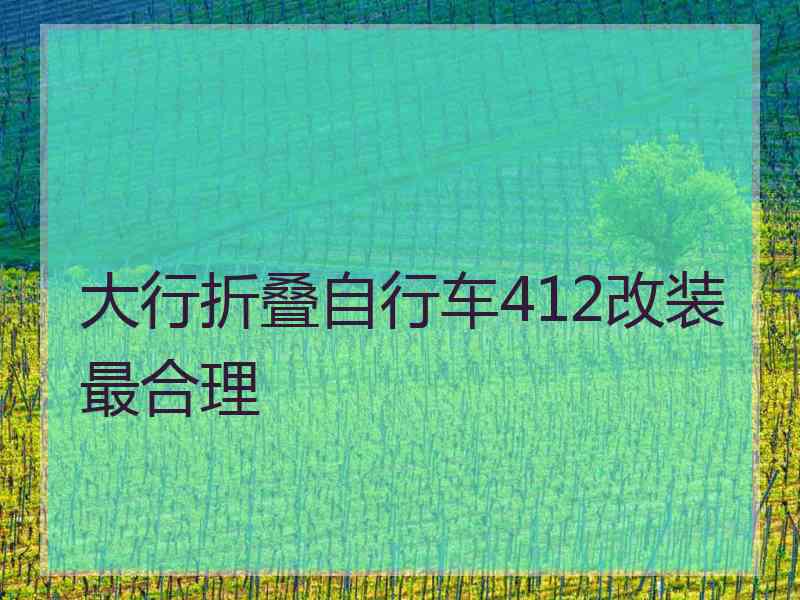 大行折叠自行车412改装最合理