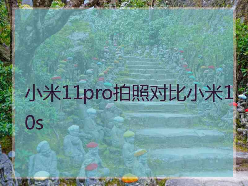 小米11pro拍照对比小米10s