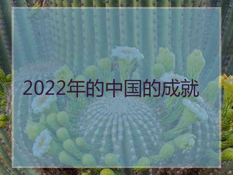 2022年的中国的成就