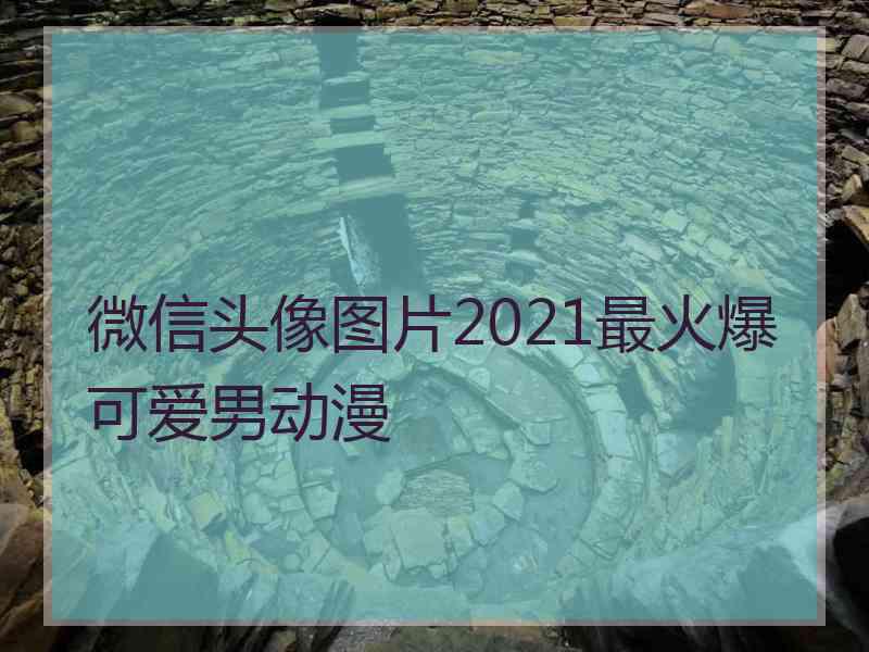 微信头像图片2021最火爆可爱男动漫