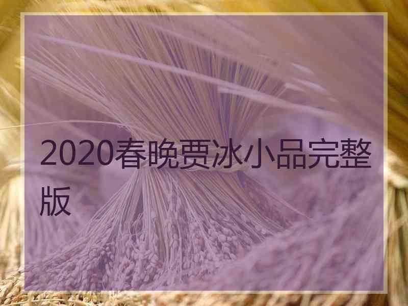 2020春晚贾冰小品完整版