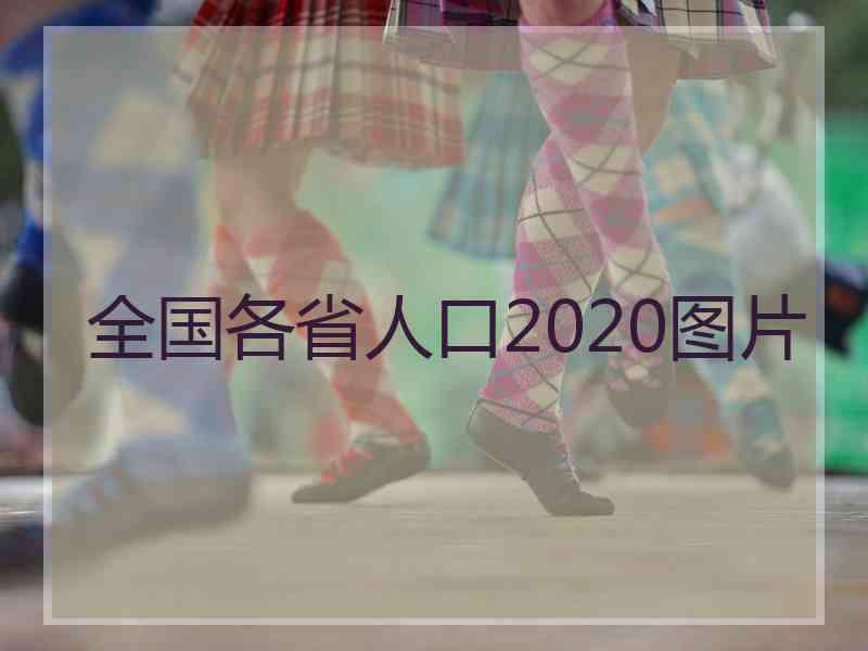 全国各省人口2020图片