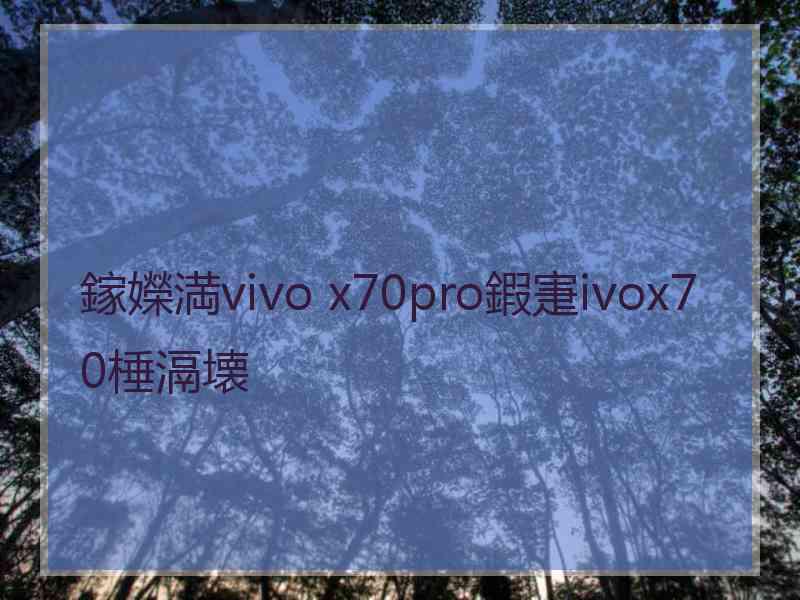 鎵嬫満vivo x70pro鍜寁ivox70棰滆壊