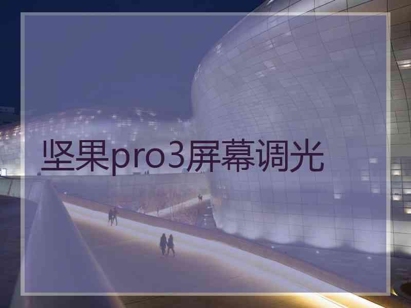 坚果pro3屏幕调光