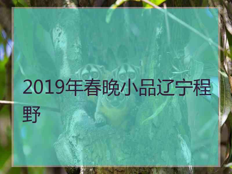 2019年春晚小品辽宁程野