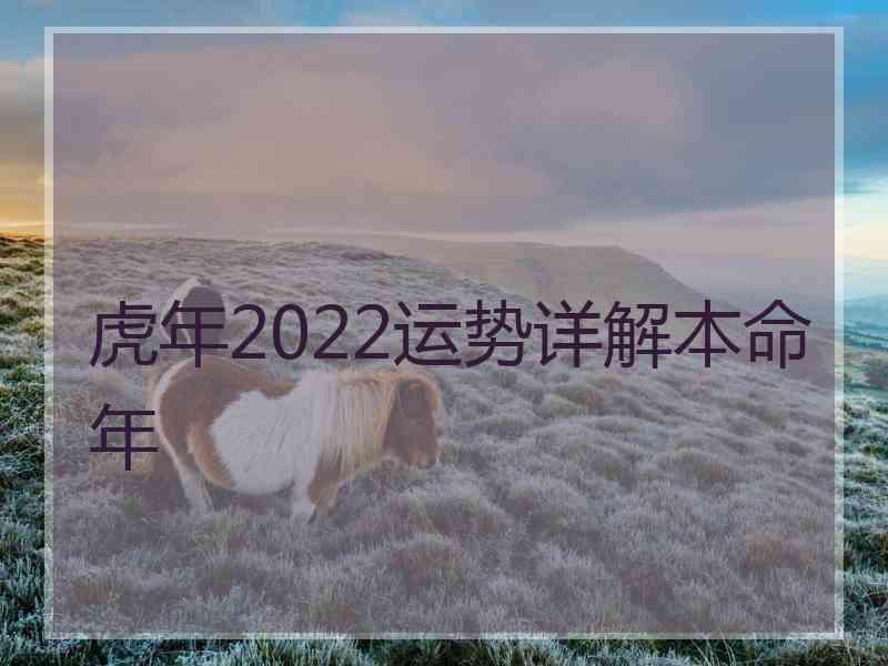 虎年2022运势详解本命年