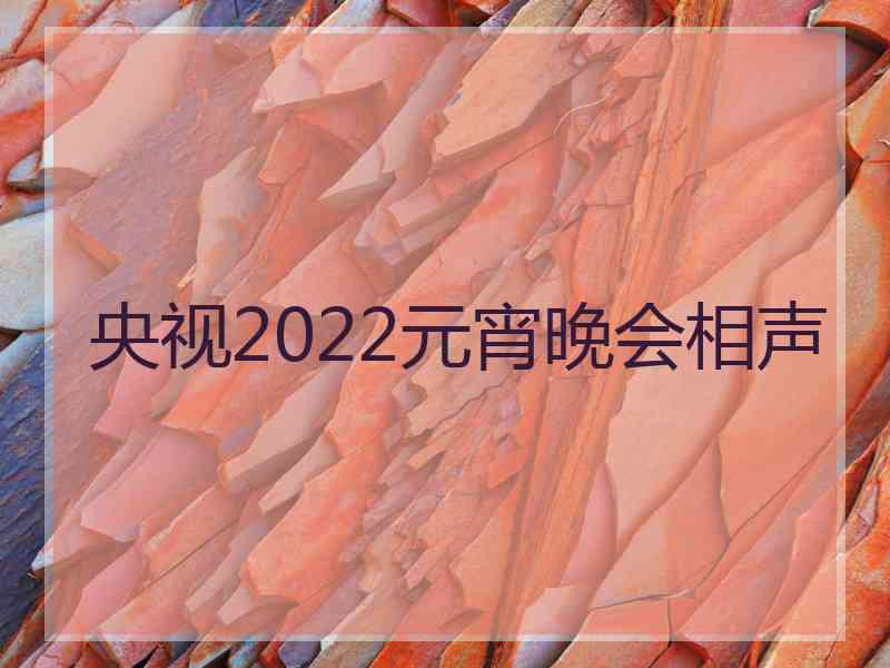 央视2022元宵晚会相声