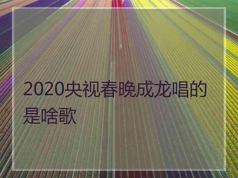 2020央视春晚成龙唱的是啥歌