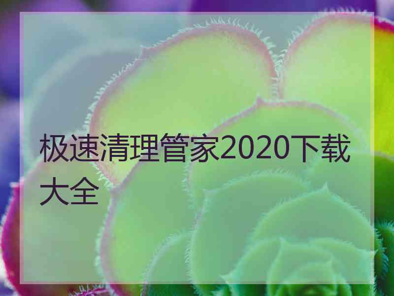 极速清理管家2020下载大全