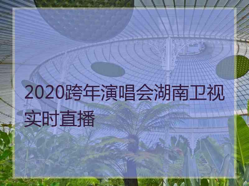 2020跨年演唱会湖南卫视实时直播