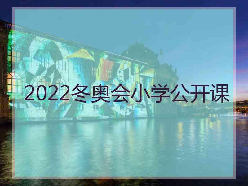 2022冬奥会小学公开课