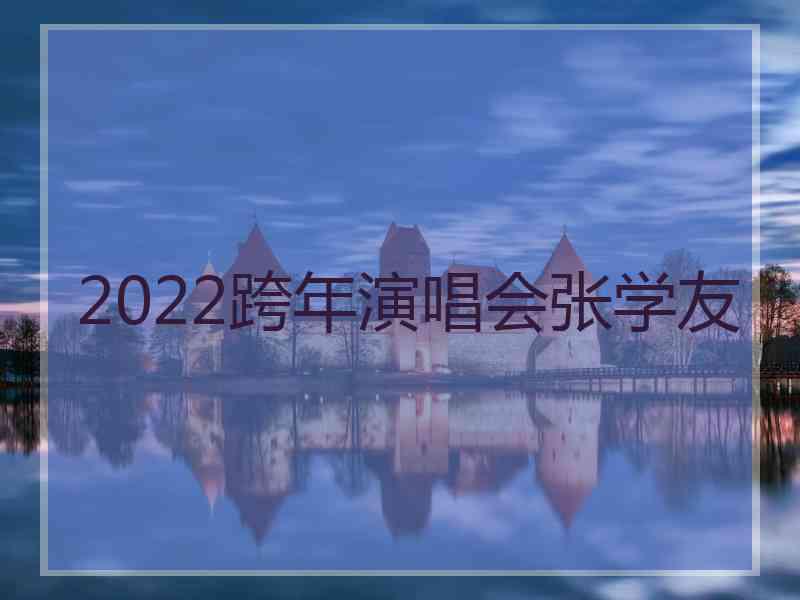 2022跨年演唱会张学友