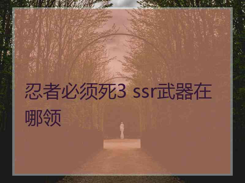 忍者必须死3 ssr武器在哪领