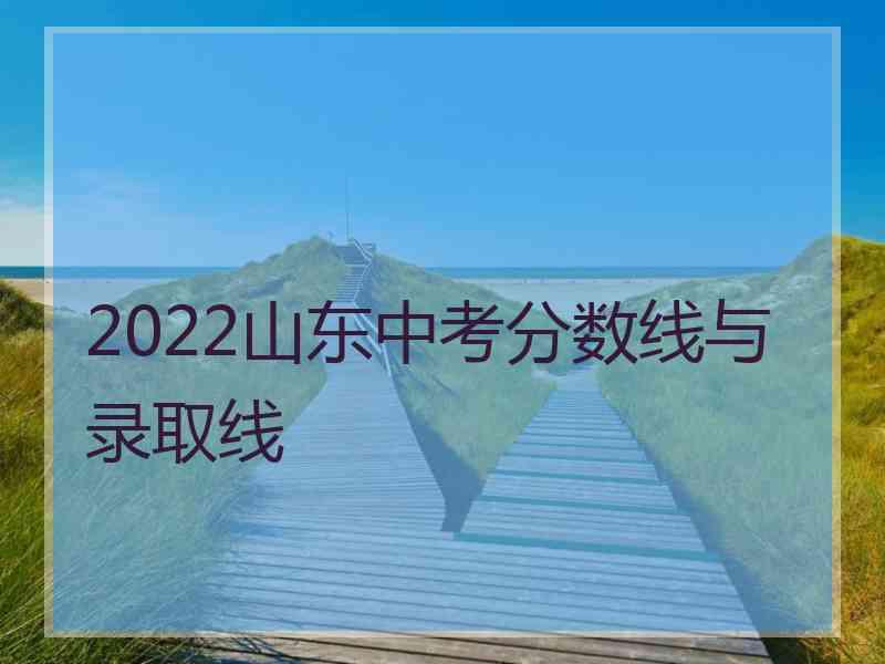 2022山东中考分数线与录取线