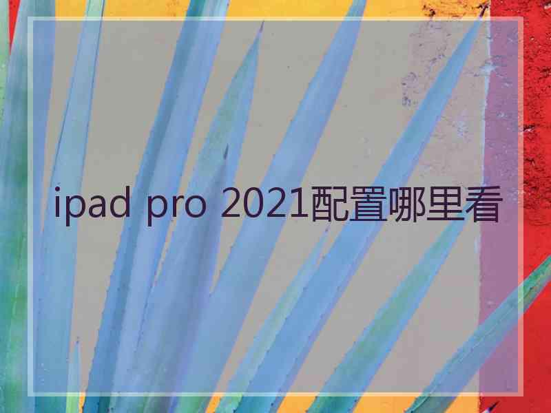 ipad pro 2021配置哪里看