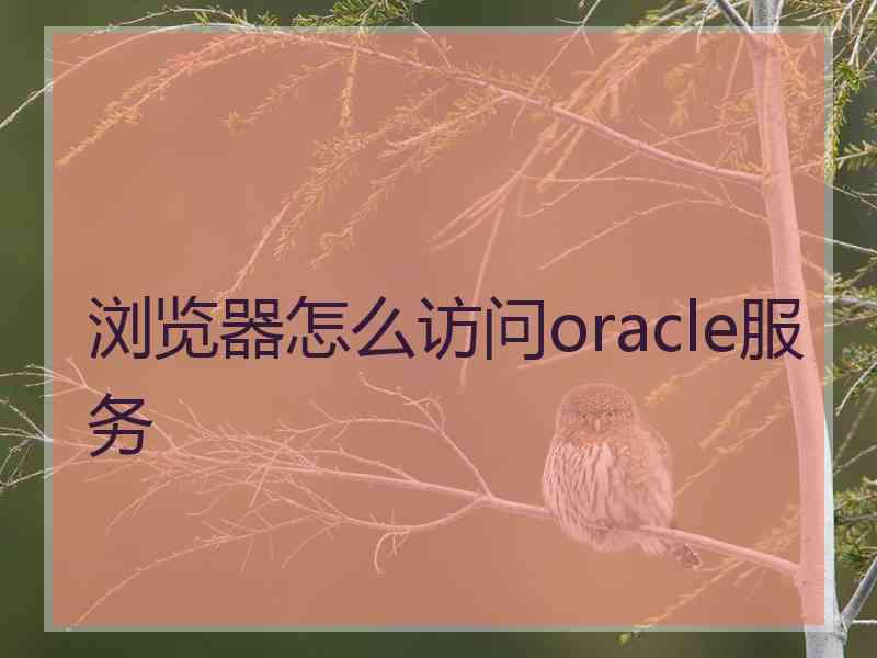 浏览器怎么访问oracle服务