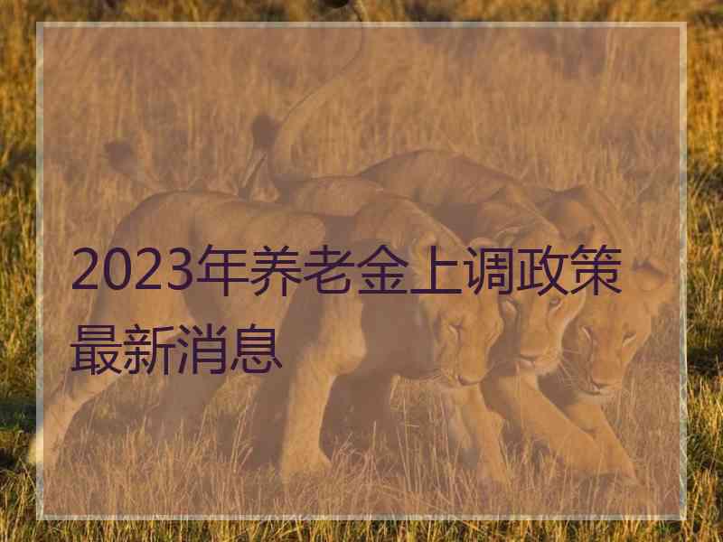 2023年养老金上调政策最新消息