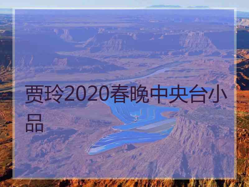 贾玲2020春晚中央台小品