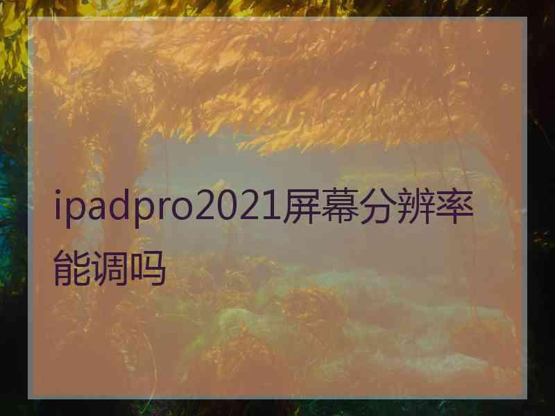 ipadpro2021屏幕分辨率能调吗