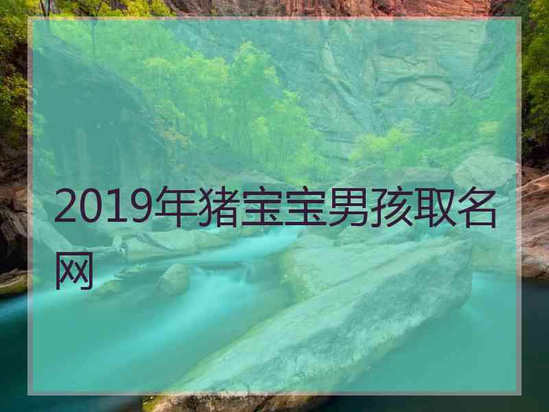 2019年猪宝宝男孩取名网