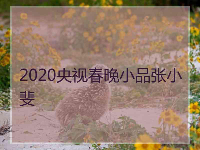 2020央视春晚小品张小斐