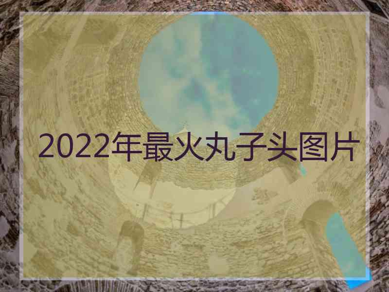 2022年最火丸子头图片