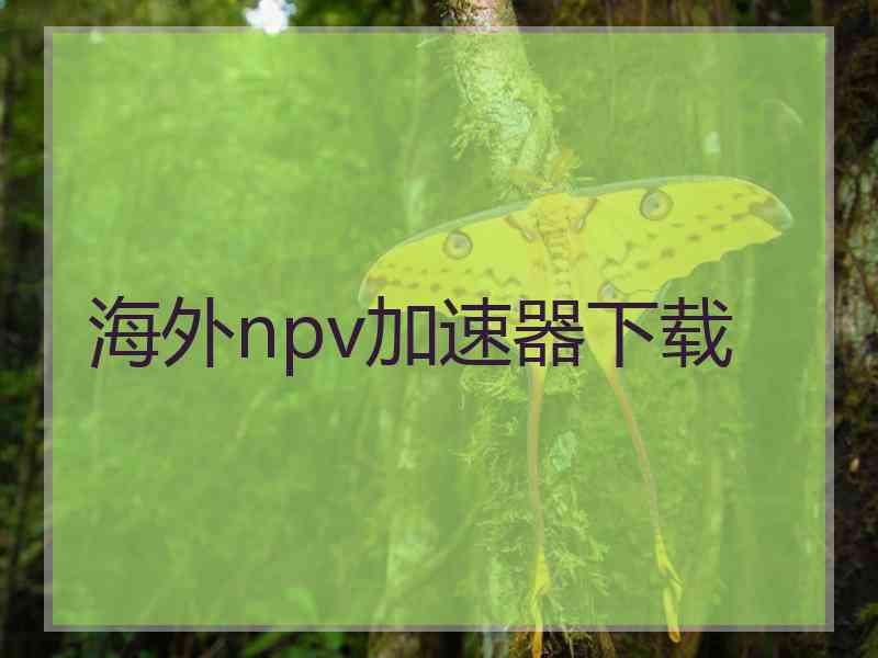 海外npv加速器下载