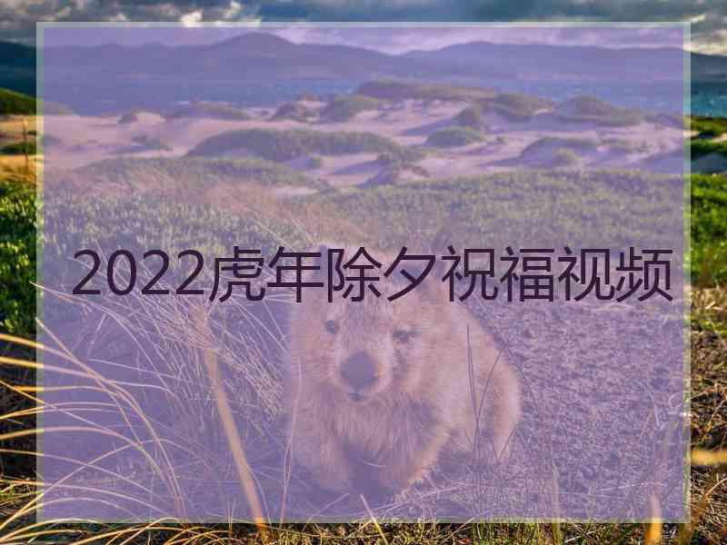 2022虎年除夕祝福视频