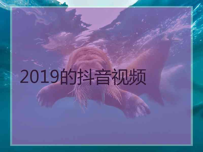 2019的抖音视频