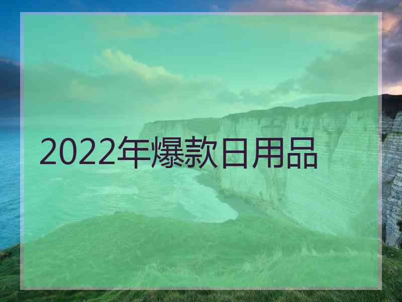 2022年爆款日用品